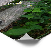 Zaun mit Wildblumen Poster (Ecke)