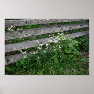 Zaun mit Wildblumen Poster
