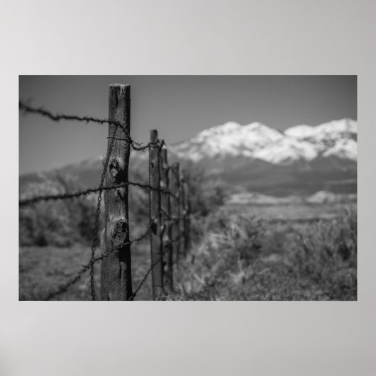 Zaun Poster (Vorne)