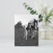 Zaun Postkarte (Stehend Vorderseite)