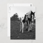 Zaun Postkarte (Vorne/Hinten)