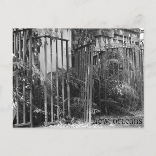 Zaun Postkarte (Vorderseite)