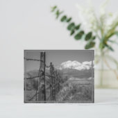 Zaun Postkarte (Stehend Vorderseite)