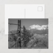 Zaun Postkarte (Vorne/Hinten)