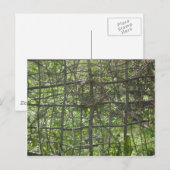 Zaun Postkarte (Vorne/Hinten)