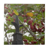 Zaun und Crabapples Fliese (Vorderseite)