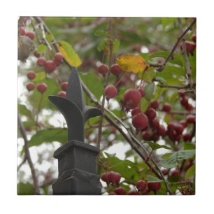 Zaun und Crabapples Fliese