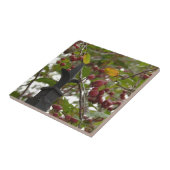 Zaun und Crabapples Fliese (Seite)