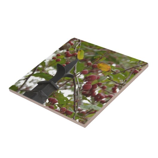 Zaun und Crabapples Fliese (Seite)