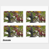 Zaun und Crabapples Rechteckiger Aufkleber (Blatt)