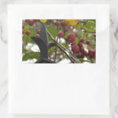 Zaun und Crabapples Rechteckiger Aufkleber (Tasche)