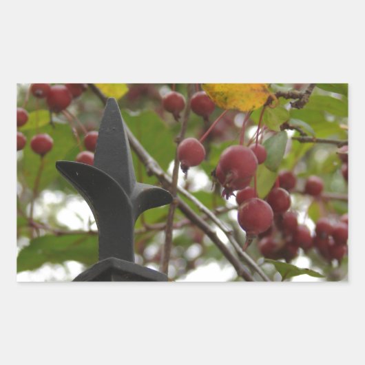 Zaun und Crabapples Rechteckiger Aufkleber (Vorderseite)
