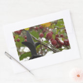 Zaun und Crabapples Rechteckiger Aufkleber (Umschlag)