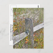 Zaun und Gift IBSP NJ-Koordinationsgegenstände Postkarte (Vorne/Hinten)