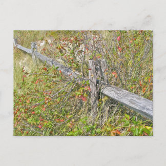 Zaun und Gift IBSP NJ-Koordinationsgegenstände Postkarte