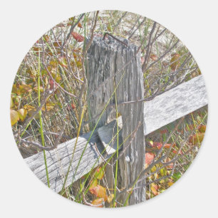 Zaun und Gift IBSP NJ-Koordinationsgegenstände Runder Aufkleber