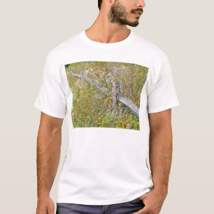 Zaun und Gift IBSP NJ-Koordinationsgegenstände T-Shirt