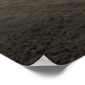 Zaun und Sonnenbrand durch Nebel bei Sharon Poster (Ecke)