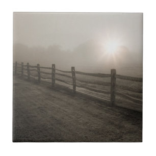 Zaun und Sonnendurchbruch durch Nebel nahe Sharon Fliese