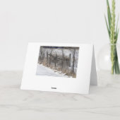 Zäune u. Schnee Karte (Rückseite)