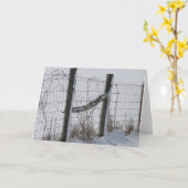 Zäune u. Schnee Karte (Gelbe Blume)