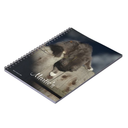 Zaunkatze (18) notizblock (Linke Seite)