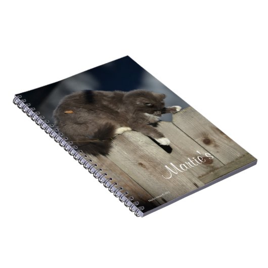 Zaunkatze (9) notizblock (Rechte Seite)