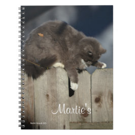 Zaunkatze (9) notizblock