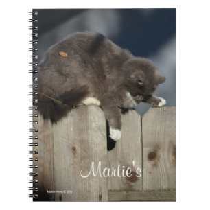 Zaunkatze (9) notizblock