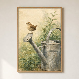 Zaunkönig auf einem Gießkannen-Aquarellposter Poster