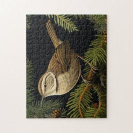 Zaunkönig auf Tannenzweigen Puzzle