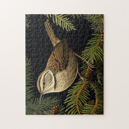 Zaunkönig auf Tannenzweigen Puzzle (Vertikal)