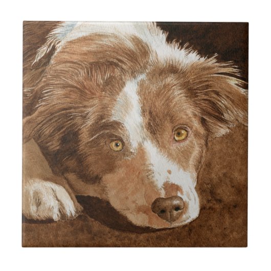Zaunkönig der Border-Collie-Welpe Fliese (Vorderseite)