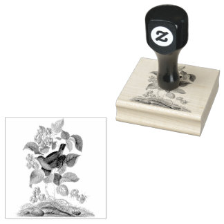 Zaunkönig Himbeere Vintage Scrapbooking  Gummistempel