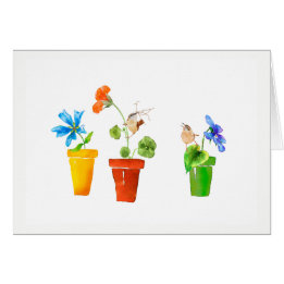 Zaunkönige und Flowerpots