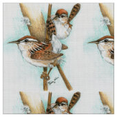 Zaunköniggewebe Stoff (Nahaufnahme)