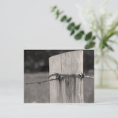 Zaunpfosten und Stacheldraht Postkarte (Stehend Vorderseite)