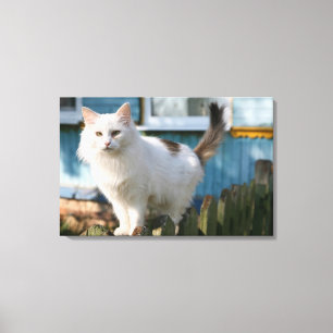 Zaunportrait Leinwanddruck