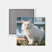 Zaunportrait Magnet (Vorderseite/Rückseite)