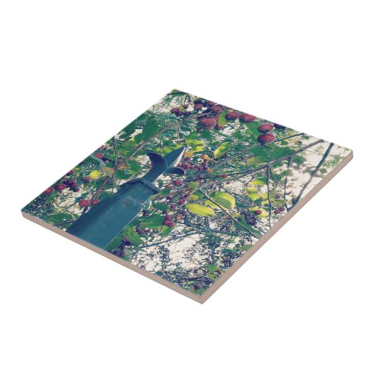 Zaunpost Fliese (Seite)