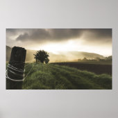 Zaunpost Poster (Vorne)