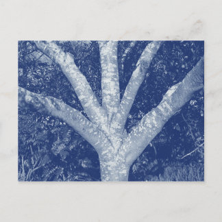 Zaunzweige - Zyanotypeneffekt Postkarte