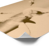 Zazzie Poster (Ecke)