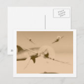 Zazzie Postkarte (Vorne/Hinten)