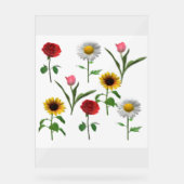 Zazzle Keramik Tile 4.25" x 4.25 , Klein Acrylschild (Vorderseite)