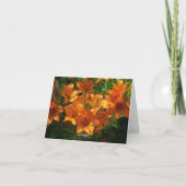 Zazzle Orange Blank Notecard Karte (Rückseite)
