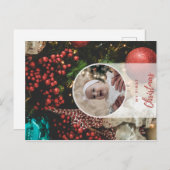 Zazzle Postkarte (Vorne/Hinten)