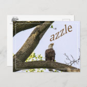 Zazzle Valley Visionen Postkarte (Vorne/Hinten)