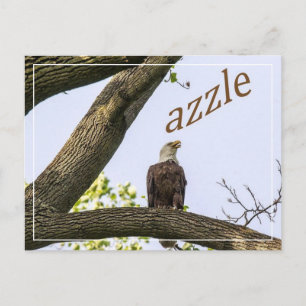 Zazzle Valley Visionen Postkarte