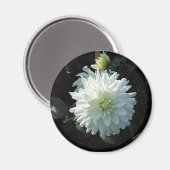 zazzle_white_Blume Magnet (Vorderseite/Rückseite)